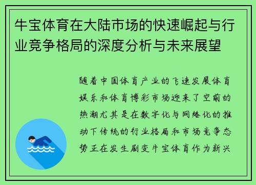 牛宝体育在大陆市场的快速崛起与行业竞争格局的深度分析与未来展望